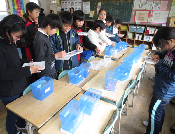 仕分けに挑む児童会福祉委員会の委員たち