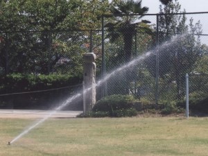 芝生を維持管理するため保護者や先生たちが設置したスプリンクラーも活躍しています＝いずれも広島県尾道市の山波小学校で